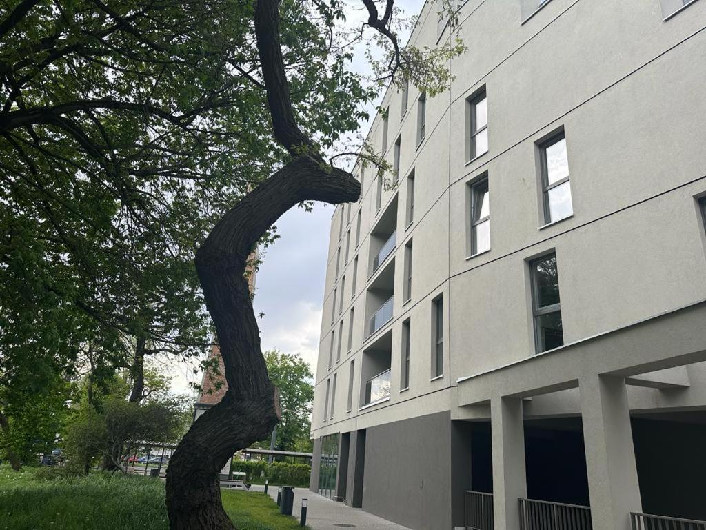 בידגוז'יז' Apartament Centrum II מראה חיצוני תמונה